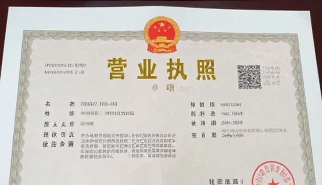 营业执照办理项目实施中的软件研发关注点
