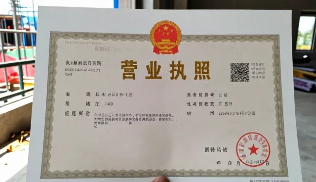 技术转让中系统集成的两种做法对比及实际取舍